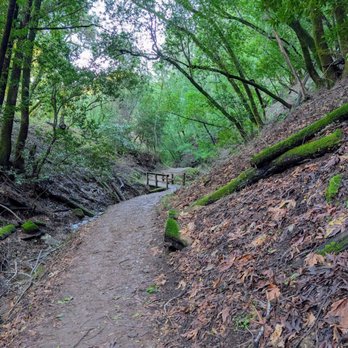 Rancho San Antonio Preserve - Parks Near Me - Los Altos, California Rancho San Antonio Preserve - Parks Near Me - Los Altos, California