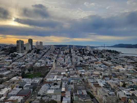 Coit Tower by null