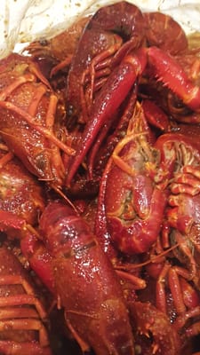 The Mad Claw by null