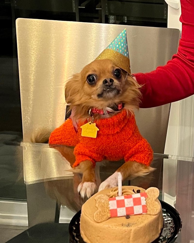 METLIFE PET INSURANCE 39 Photos & 276 Reviews Jeffersonville