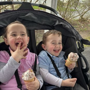 Chill & Grill - Ice creams were already half gone- soooo yummy!! - Ice Cream & Frozen Yogurt Near Me - Palmyra, New York