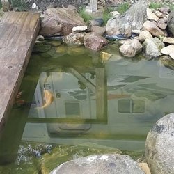 Whitefish Hill RV Park - Whitefish Pond