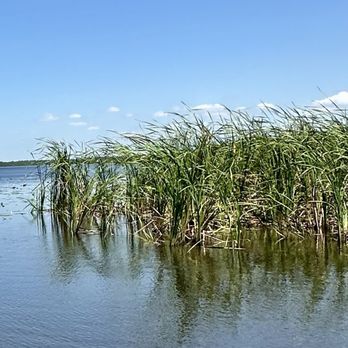Airboats & Alligators - Boating Near Me - Immokalee, Florida