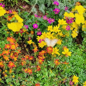 Sunken Gardens - Botanical Gardens Near Me - Lincoln, Nebraska