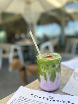 Malibu Farm San Diego by null
