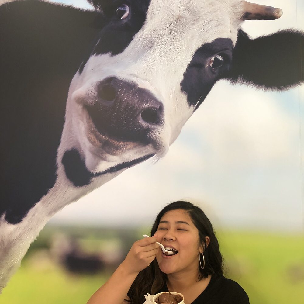 The Screamery - My favorite was the triple play and fudgesicle. How about Moo? - Ice Cream & Frozen Yogurt Near Me - Phoenix, Arizona The Screamery - My favorite was the triple play and fudgesicle. How about Moo? - Ice Cream & Frozen Yogurt Near Me - Phoenix, Arizona