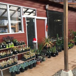Far West Nursery - Succulents...