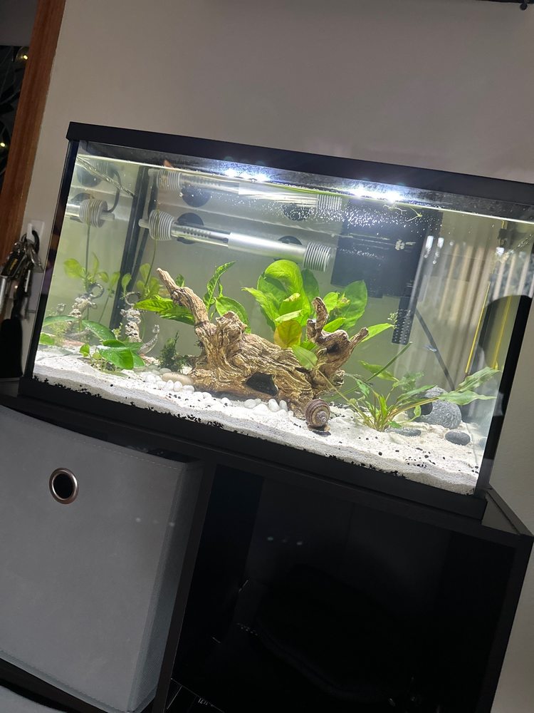 AQUARIUM ADVENTURE Updated July 2024 26 Photos & 45 Reviews 744 E