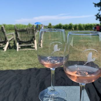 Saltwater Farm Vineyard - Rose all Day!!! - Wineries Near Me - Stonington, Connecticut Saltwater Farm Vineyard - Rose all Day!!! - Wineries Near Me - Stonington, Connecticut