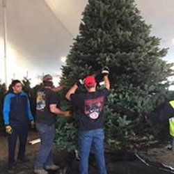 Burbank YMCA Tree Lot