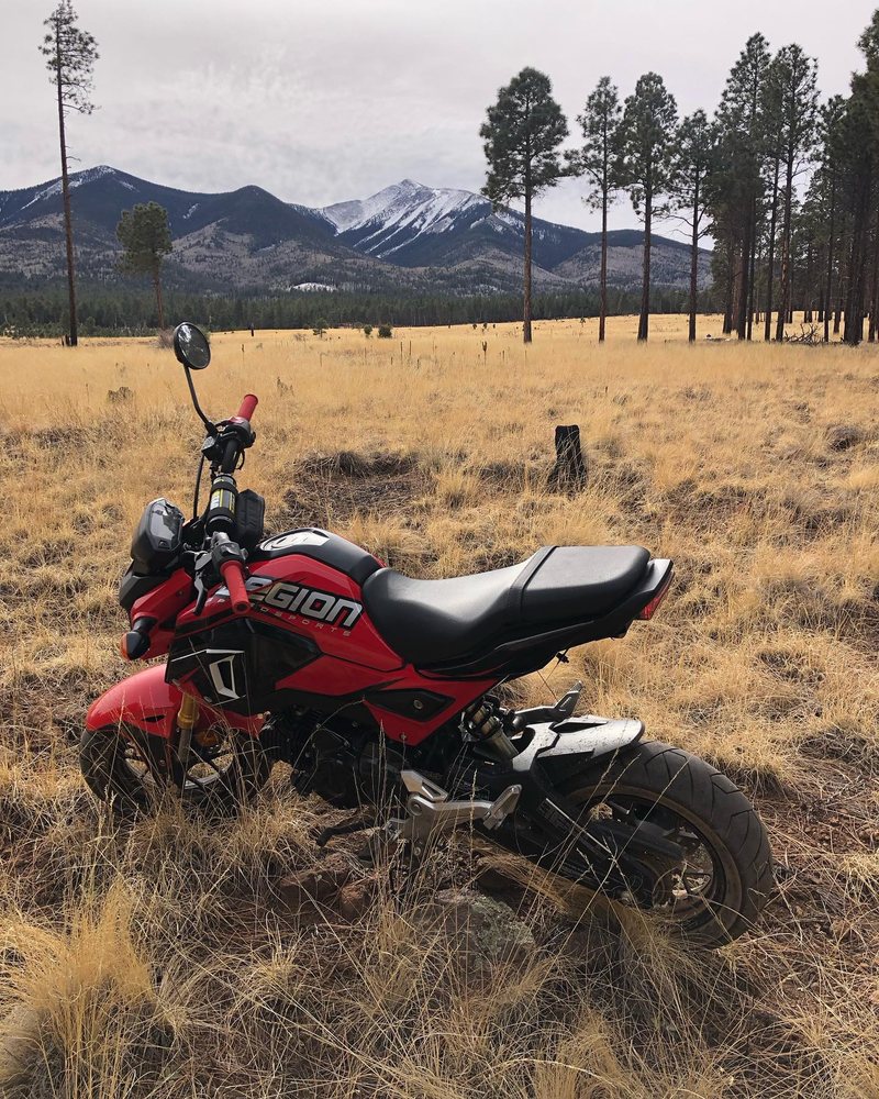 Andrew Schultz - Logistics and Motorsports Logo