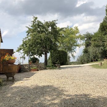 Tuscan Wine Tours - Wine Tours Near Me - Florence, FI