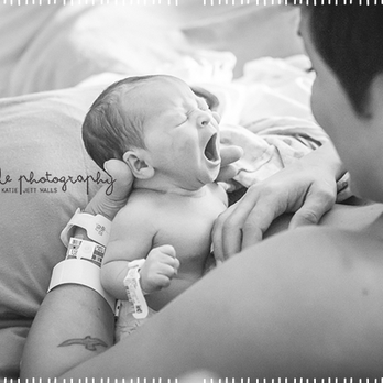 Red Turtle Photography - Session Photography Near Me - Washington, DC, District of Columbia