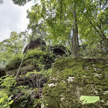 Ferne Clyffe State Park - Forest - Parks Near Me - Goreville, Illinois Ferne Clyffe State Park - Forest - Parks Near Me - Goreville, Illinois