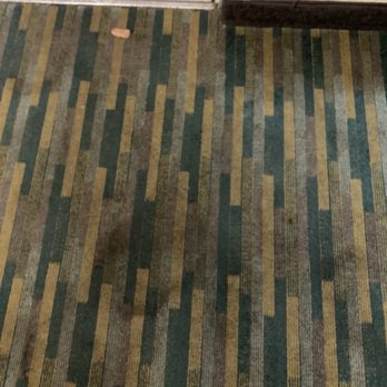 Quality Inn & Suites Mt Dora North - Stained carpets - Hotels Near Me - Mount Dora, Florida
