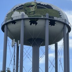 Dunedin Water Tower Public Art - Best view east of Truist Bank