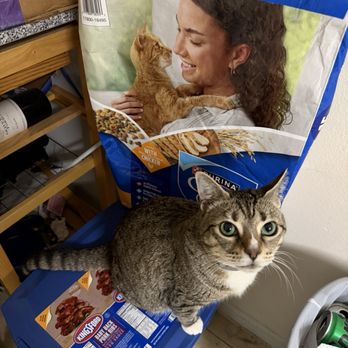 Haven - Animal Shelters Near Me - Fairhope, Alabama Haven - Animal Shelters Near Me - Fairhope, Alabama