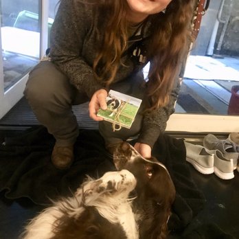 Citizen Hound - Our Springer Spaniel and his human parents love the 2 gift tiles Michelle brought over, with SS's photo on them. Great shots too! - Dog Walkers Near Me - San Francisco, California Citizen Hound - Our Springer Spaniel and his human parents love the 2 gift tiles Michelle brought over, with SS's photo on them. Great shots too! - Dog Walkers Near Me - San Francisco, California