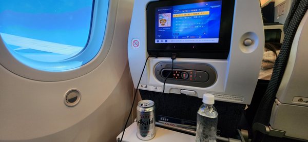 All Nippon Airways by null