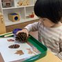 Morningside Montessori School