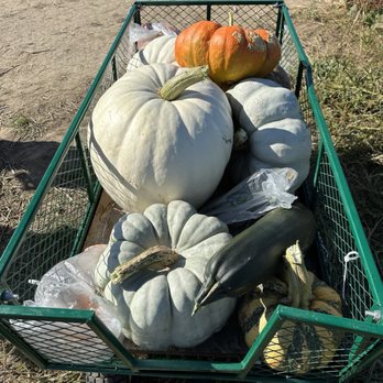 Pearson's Pumpkin Place - Venues & Event Spaces Near Me - Eagle, Nebraska Pearson's Pumpkin Place - Venues & Event Spaces Near Me - Eagle, Nebraska