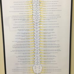 DiBella Chiropractic Center - #nervoussystem controls everything
