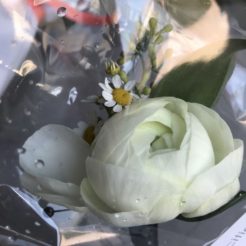 Park Cities Petals - Grooms boutonnière - Florists Near Me - Dallas, Texas