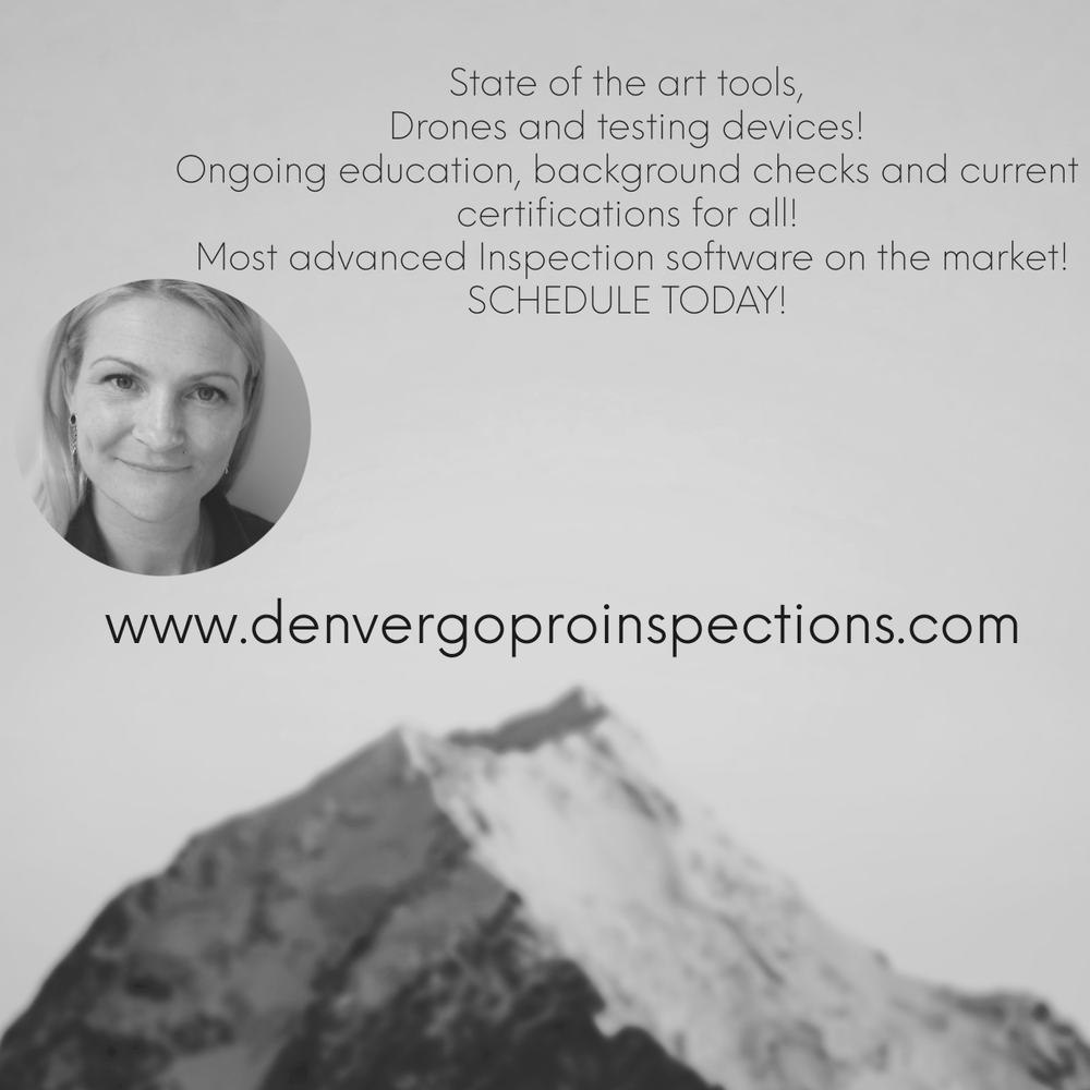 Denver Go Pro Inspections - mold inspector in Thornton, CO