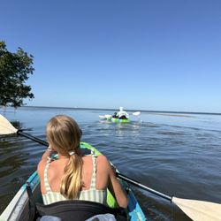AMI Paddleboard Adventures - Tampa Bat, Robinsons Preserve