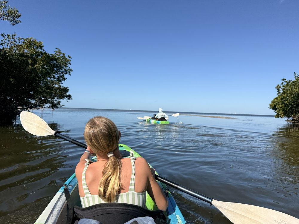 AMI Paddleboard Adventures Logo