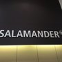 Photo of Salamander