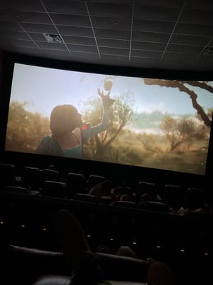 Marcus Oakdale Cinema by null