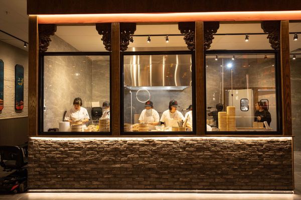 Nan Xiang Soup Dumplings - Cherry Hill by null