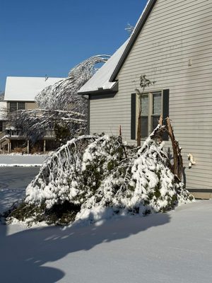 Curt’s Services Logo