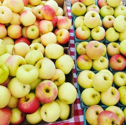 The Farmers Market at Brock's Gap by null