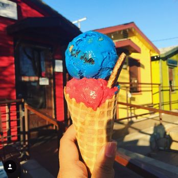 Novel Ice Cream - Raspberry Sorbet topped off with Cookie Monster! - Desserts Near Me - Phoenix, Arizona Novel Ice Cream - Raspberry Sorbet topped off with Cookie Monster! - Desserts Near Me - Phoenix, Arizona