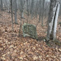 Windham Town Forest