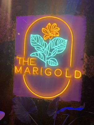 The Marigold by null