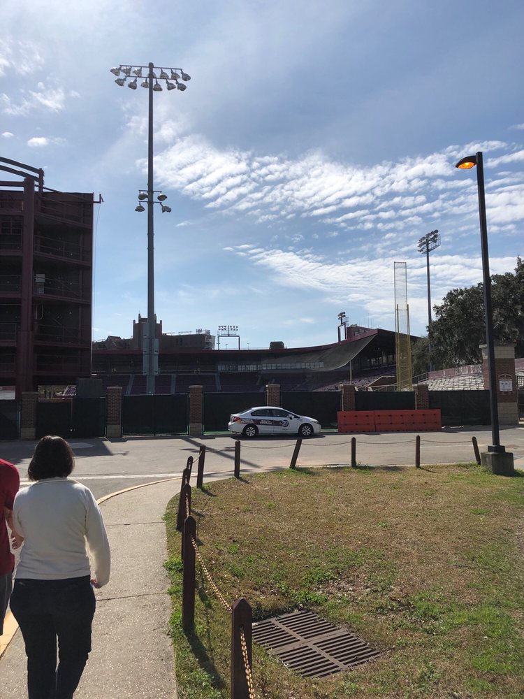 Mike Martin Field at Dick Howser Stadium
