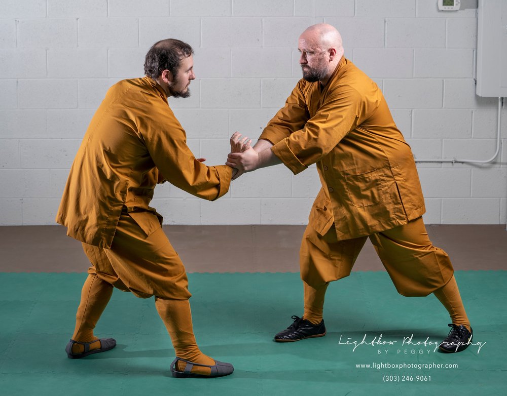 Denver Shaolin Kung Fu Tai Chi Institute Logo