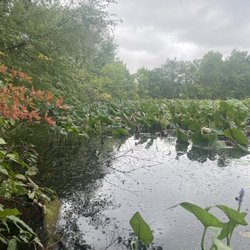 Loved this mini Pond