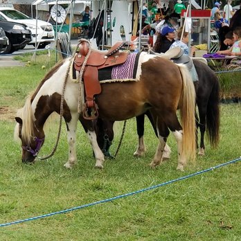 Annual Women's Board Picnic & Bazaar - The ponies taking a break 7.23.19 - Festivals Near Me - Olney, Maryland Annual Women's Board Picnic & Bazaar - The ponies taking a break 7.23.19 - Festivals Near Me - Olney, Maryland