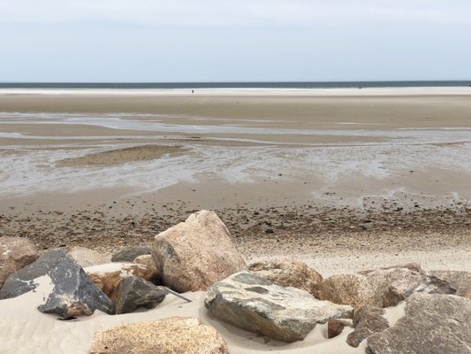 Chapin Memorial Beach by null