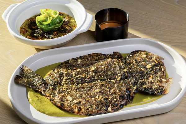 Eylan by null Eylan by null