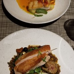 Halibut