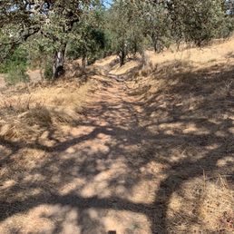 Loops to do cardio