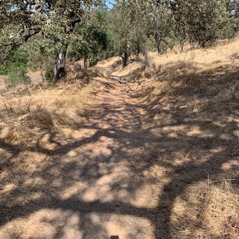 Guadalupe Oak Grove Park - Loops to do cardio - Parks Near Me - San Jose, California