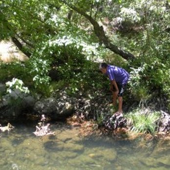 McDonald Ranch - Camp Pics - Summer Camps Near Me - Caldwell, Texas McDonald Ranch - Camp Pics - Summer Camps Near Me - Caldwell, Texas