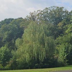 Nomahegan Park