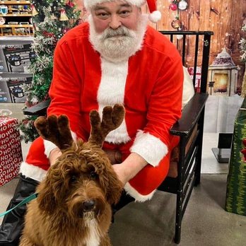 High Desert Labradoodles - Riggs with Santa - Pet Breeders Near Me High Desert Labradoodles - Riggs with Santa - Pet Breeders Near Me